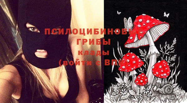 первитин Протвино