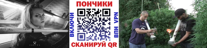 Купить Салаир Шишки марихуана индика